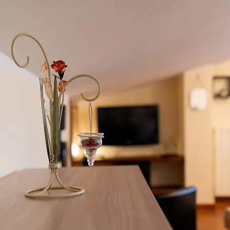 La Rondine Apartment Torre del Lago Puccini